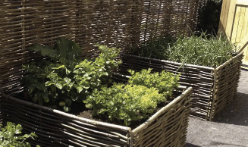 Moestuinbak afgewekt met vlechtwerk